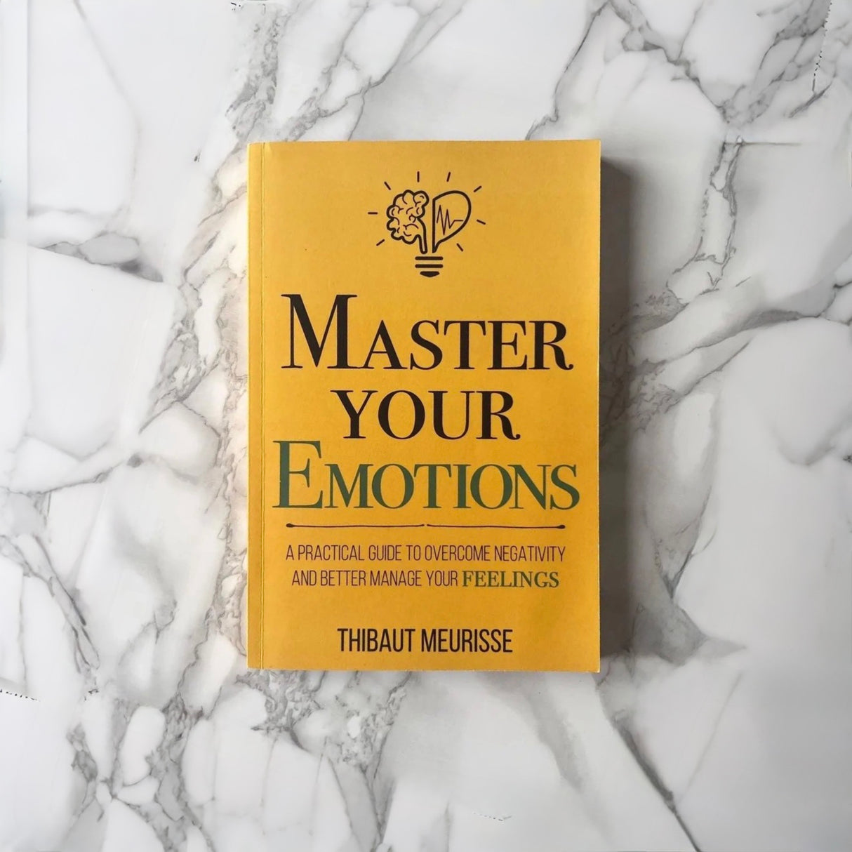 Master Your Emotions by Thibaut Meurisse