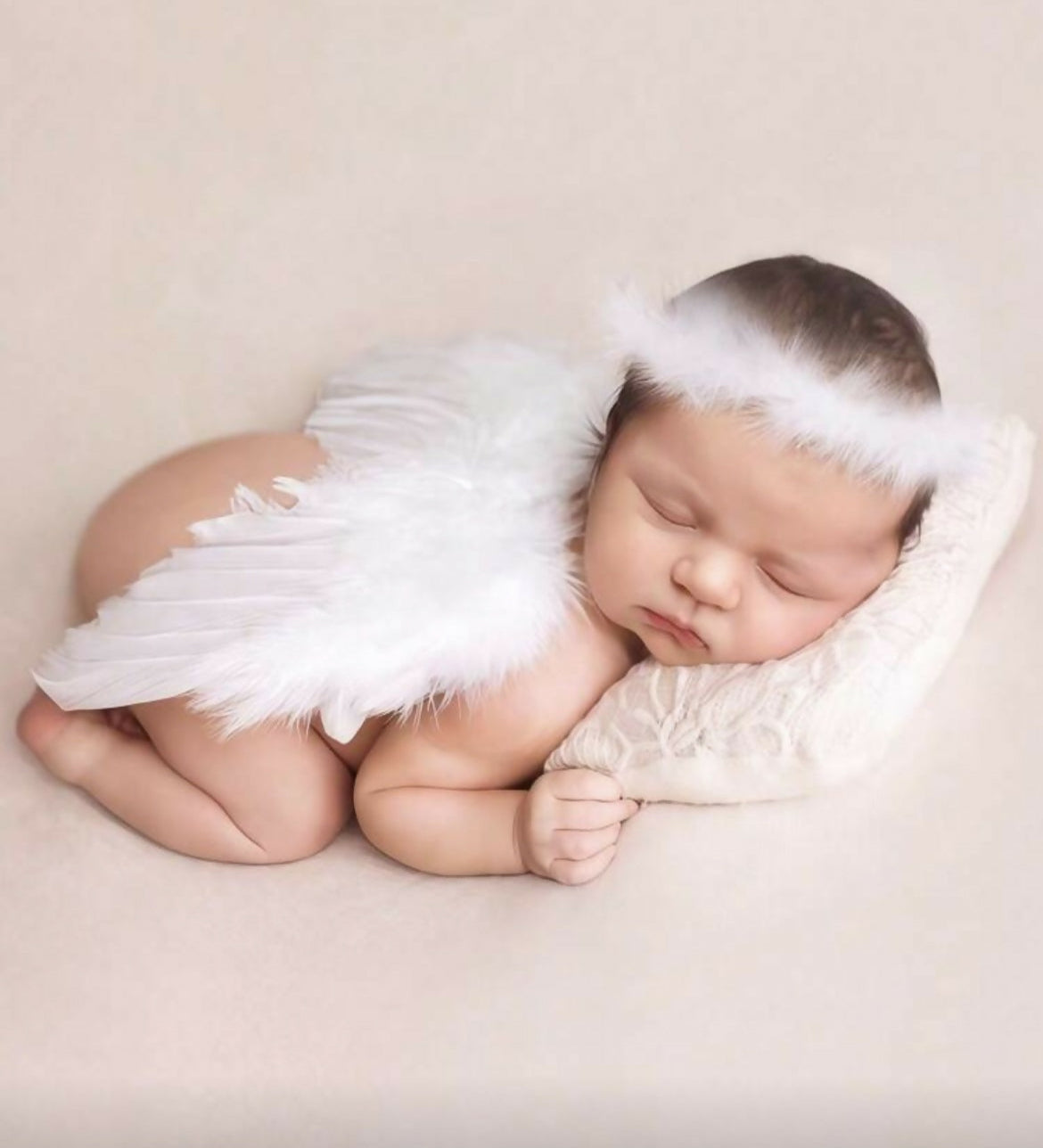 White wings