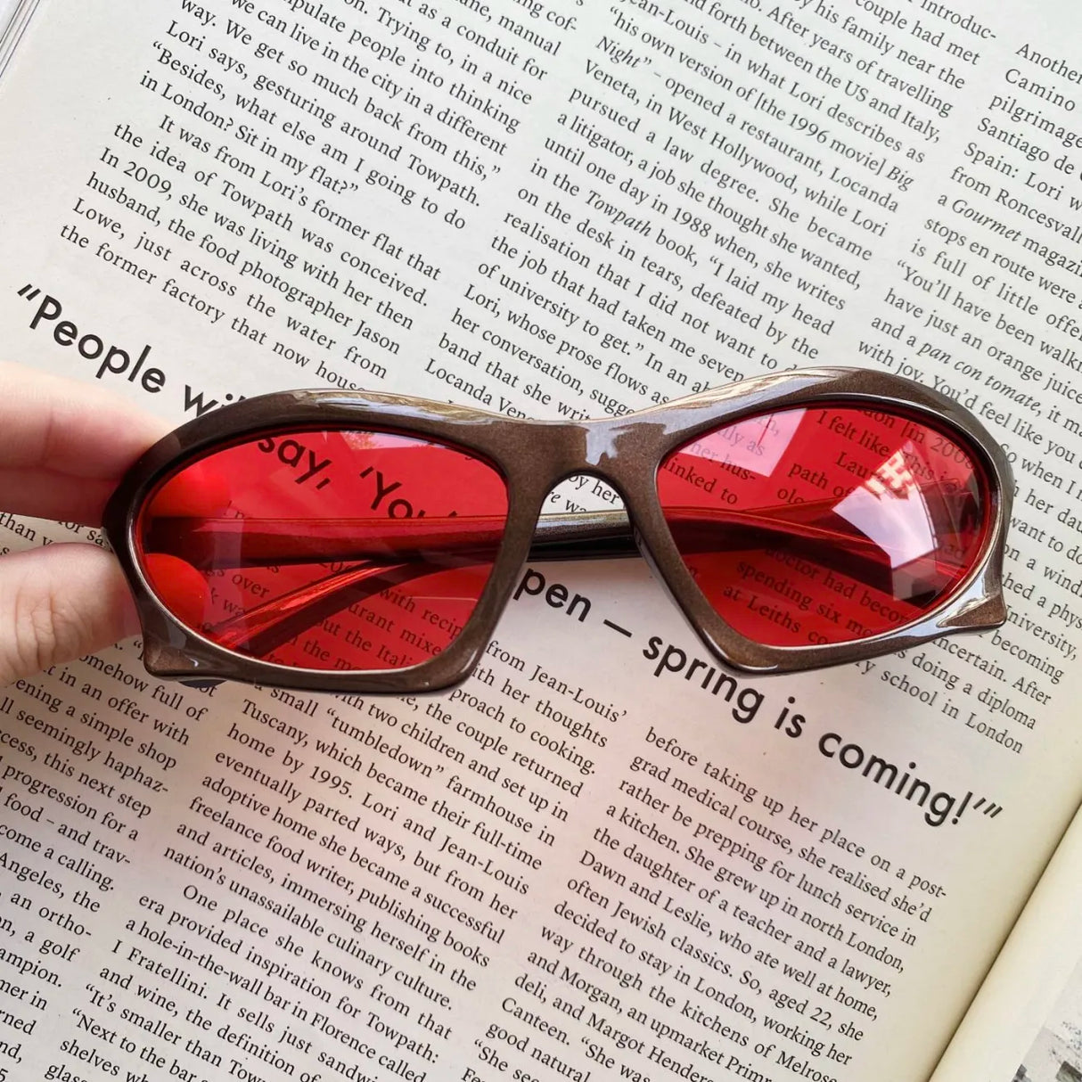 Vision Red Shades
