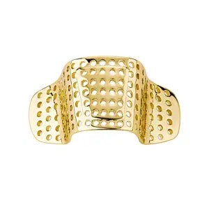 Gold Nose Clip